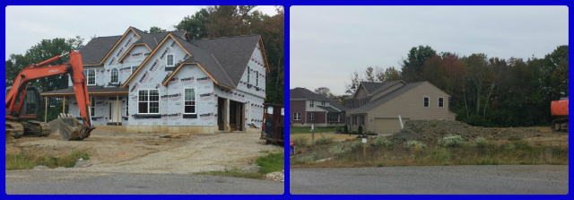 cedar%20trace%20new%20construction%20Collage.jpg