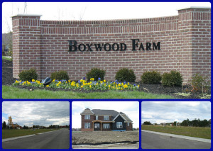 Boxwood Farms in Mason Ohio